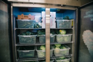 The open cooler from UnitedHealthcare full of green vegetables. 
