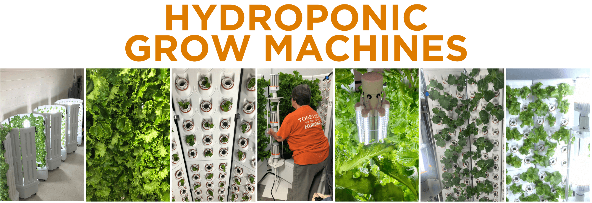Hydroponic Grow Machine