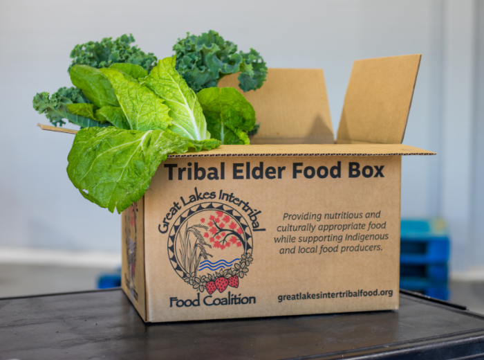 Cultivating Wellness: Tribal Elder Food Box Program Focuses on Food as Medicine